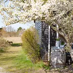 Vandrerhjem Poppelgaarden Romo *