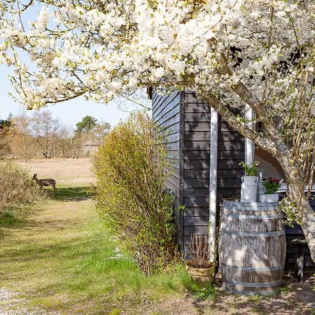 旅馆 Poppelgaarden Romo *