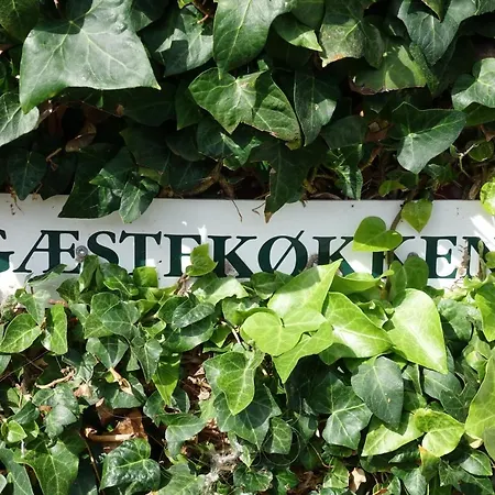 Poppelgaarden Romo Rømø Kirkeby