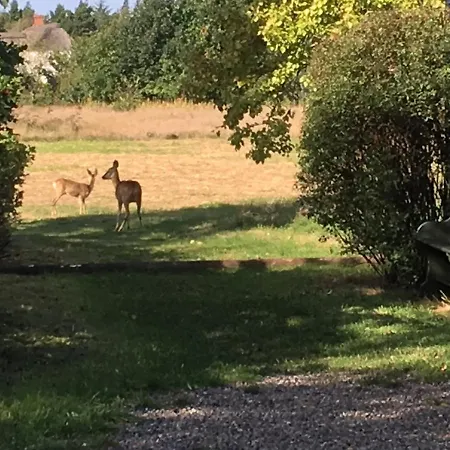 Poppelgaarden Romo 旅馆 *