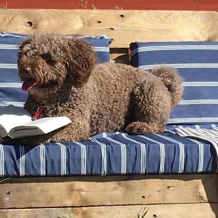 Poppelgaarden Romo * Rømø Kirkeby