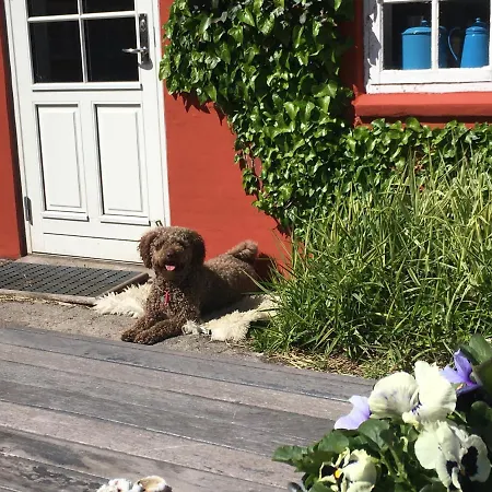 Poppelgaarden Romo *