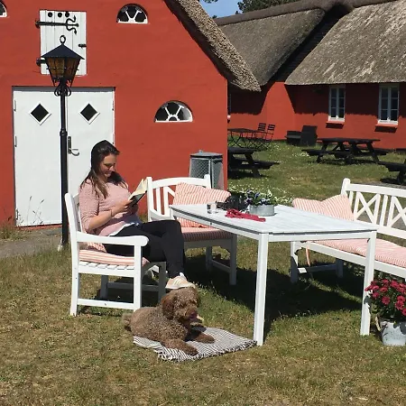 Vandrerhjem Poppelgaarden Romo