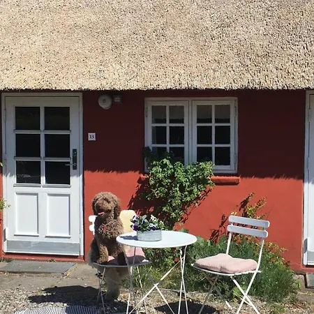 旅馆 Poppelgaarden Romo *