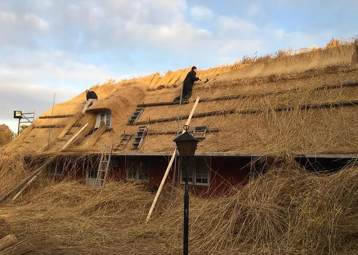 Poppelgaarden Romo بيت شباب Rømø Kirkeby