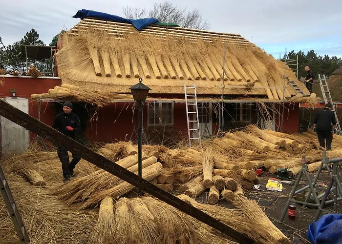 Poppelgaarden Romo بيت شباب Rømø Kirkeby